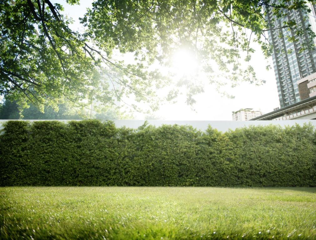 10 Things You Should Never Do to Your Lawn